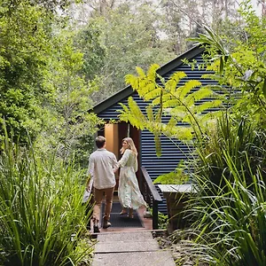 https://tree-houses-of-montville.hotelssunshinecoast.net